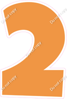 LG 12" Individuals - Flat Amber 2