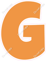 LG 23.5" Individuals - Flat Amber G