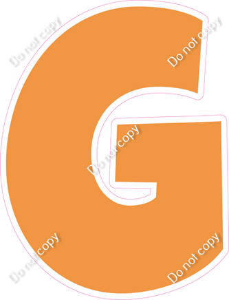 LG 23.5" Individuals - Flat Amber G