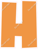 LG 23.5" Individuals - Flat Amber H