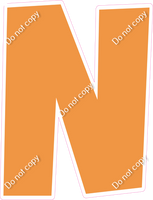 LG 23.5" Individuals - Flat Amber N