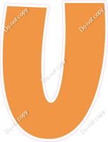 LG 23.5" Individuals - Flat Amber U