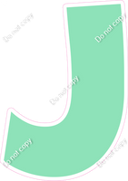 LG 23.5" Individuals - Flat Sea Foam J