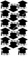 17 pc Blank Graduation Cap Sets