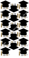 17 pc Blank Graduation Cap Sets