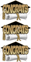 3 pc Congrats, Hat, & Diploma Sets