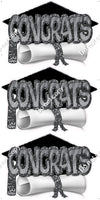 3 pc Congrats, Hat, & Diploma Sets