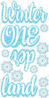 13 pc Winter Onederland Set