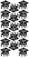 17 pc Class of 2026 Graduation Cap Sets