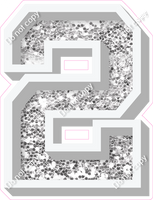 VA 12" Individuals - Light Silver Sparkle 2