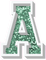 VA 12