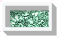 VA 12" Individuals - Sea Foam Sparkle Dash