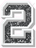 VA 12" Individuals - Silver Sparkle 2