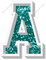 VA 12