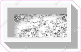 VA 18" Individuals - Light Silver Sparkle Dash