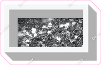 VA 18" Individuals - Silver Sparkle Dash