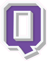 VA 23.5" Individuals - Flat Purple Q