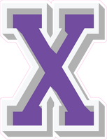 VA 23.5" Individuals - Flat Purple X