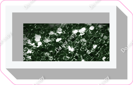 VA 23.5" Individuals - Hunter Green Sparkle Dash