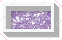 VA 23.5" Individuals - Lavender Sparkle Dash