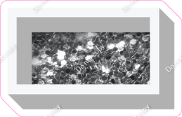 VA 23.5" Individuals - Silver Sparkle Dash