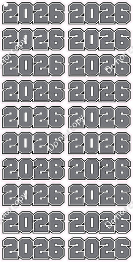 20 pc 2026 Varsity (Choose Color / Style) Note Section Upon Checkout