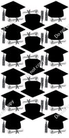 17 pc Blank Graduation Cap Sets