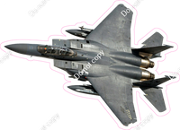 F15 Military Jet w/ Variants (real photo)