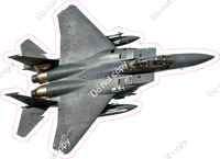 F15 Military Jet w/ Variants (real photo)