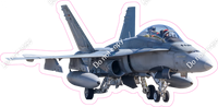 F18 Military Jet w/ Variants (real photo)