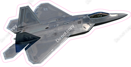 F22 Military Jet w/ Variants (real photo)