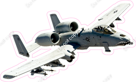 Warthog Military Jet w/ Variants (real photo)