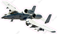 Warthog Military Jet w/ Variants (real photo)