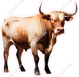 Bull 4