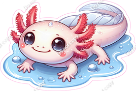 Axolotl 6