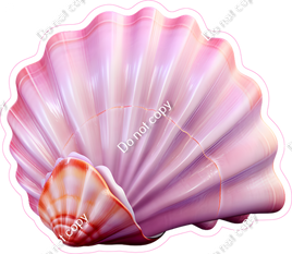 Pink Sea Shell 1