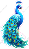 Peacock 1