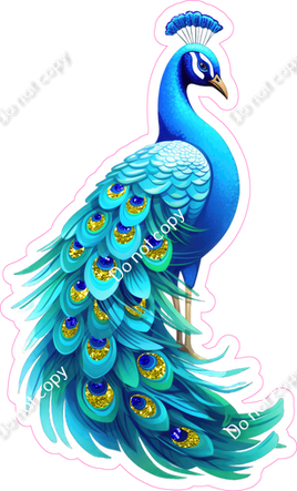 Peacock 1