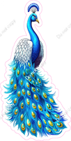 Peacock 2