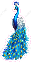 Peacock 2