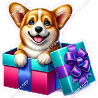 Corgi in a Present