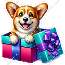 Corgi in a Present