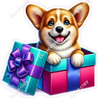 Corgi in a Present