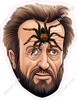 Home Alone - Marv with Spider