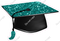 Teal Graduation Caps