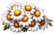 Bunch of Daisies