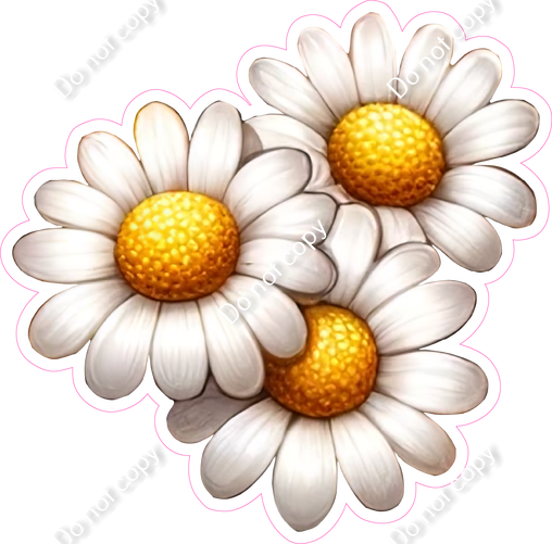 Three of Daisies| Sign Swag USA