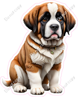 St. Bernard