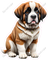 St. Bernard