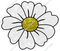 Daisy - White Sparkle